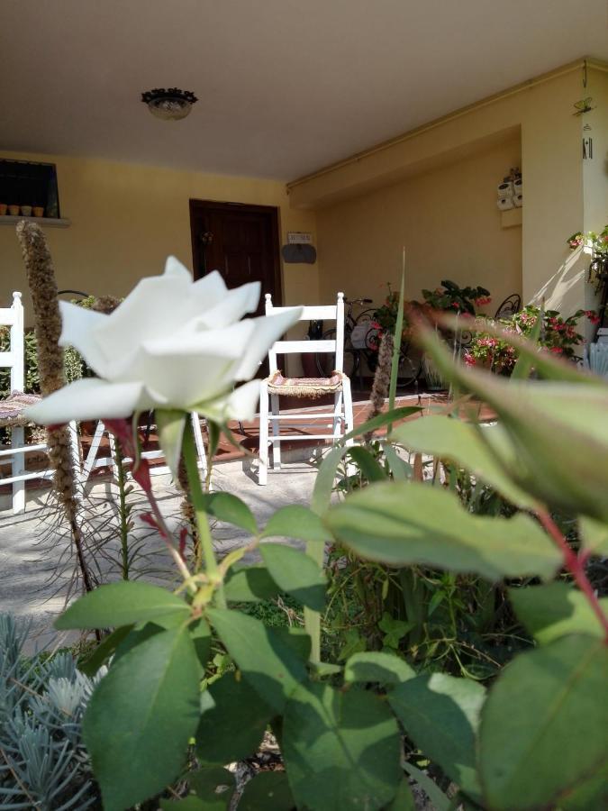 Casa Iovara Telese Екстериор снимка